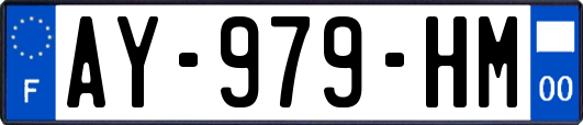 AY-979-HM