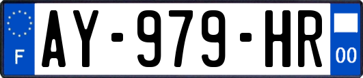 AY-979-HR