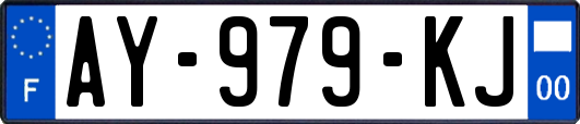 AY-979-KJ