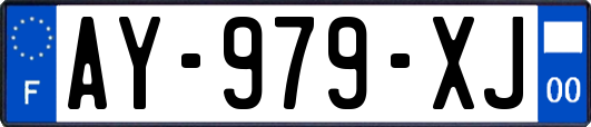 AY-979-XJ