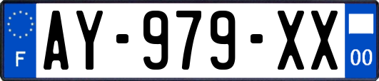 AY-979-XX