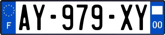 AY-979-XY
