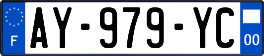 AY-979-YC