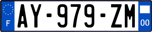 AY-979-ZM