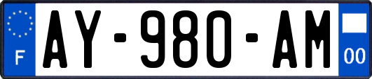 AY-980-AM