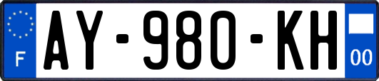 AY-980-KH