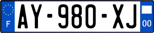 AY-980-XJ