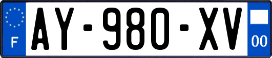 AY-980-XV