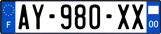 AY-980-XX