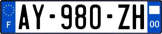 AY-980-ZH