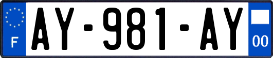 AY-981-AY