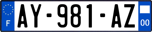 AY-981-AZ
