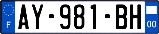 AY-981-BH