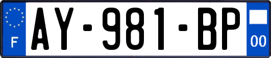 AY-981-BP
