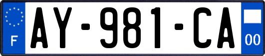 AY-981-CA