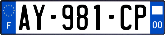 AY-981-CP