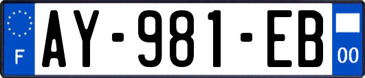 AY-981-EB