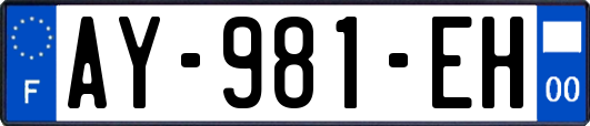 AY-981-EH