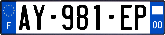 AY-981-EP