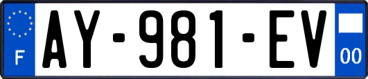 AY-981-EV