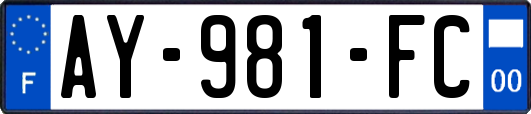 AY-981-FC