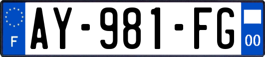 AY-981-FG