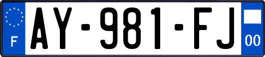 AY-981-FJ