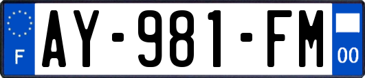 AY-981-FM