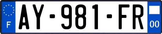AY-981-FR