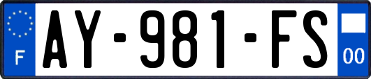 AY-981-FS