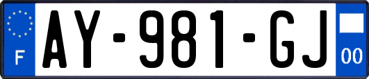 AY-981-GJ