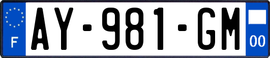 AY-981-GM