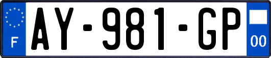 AY-981-GP