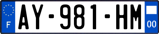 AY-981-HM