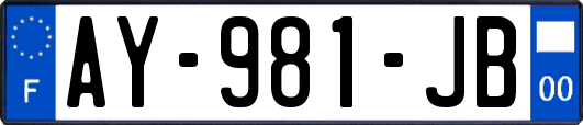 AY-981-JB