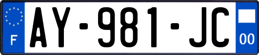 AY-981-JC