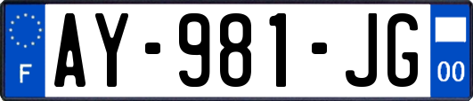 AY-981-JG