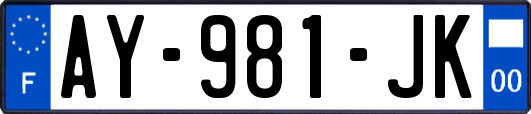 AY-981-JK