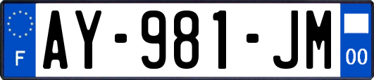 AY-981-JM