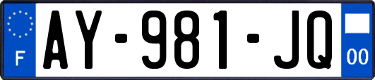 AY-981-JQ
