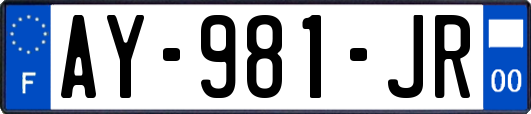 AY-981-JR