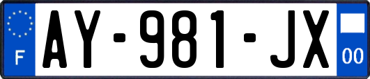 AY-981-JX