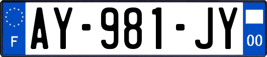AY-981-JY