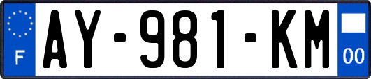 AY-981-KM