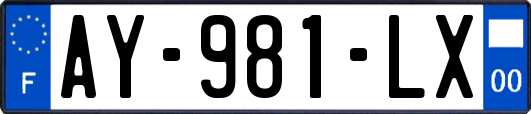 AY-981-LX