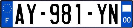 AY-981-YN