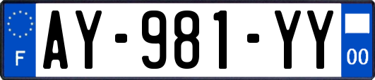 AY-981-YY