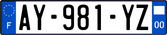 AY-981-YZ