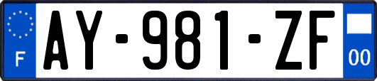 AY-981-ZF