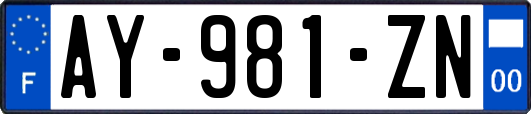 AY-981-ZN